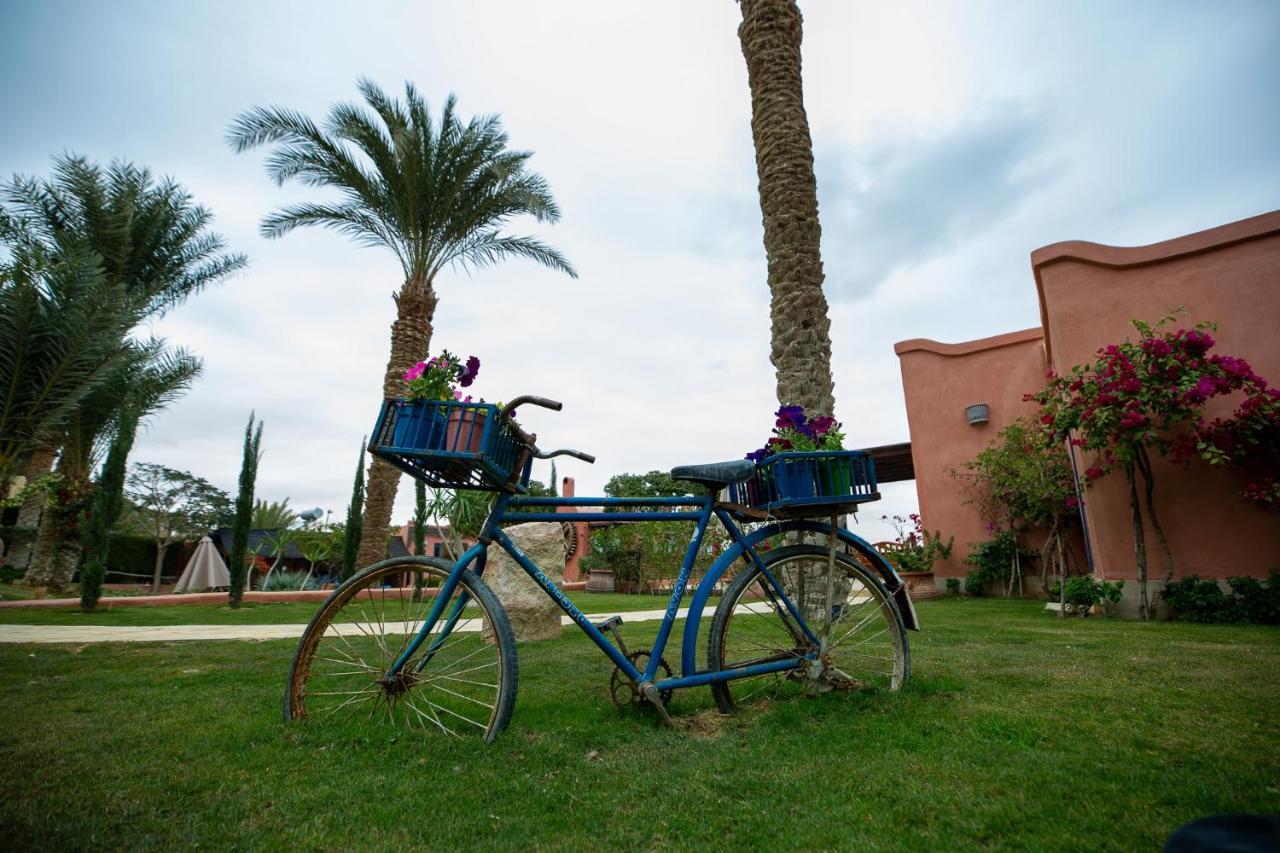 Lazib Inn Resort & Spa Tunis ภายนอก รูปภาพ